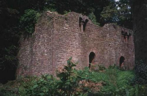 Palas  der Mittelburg (c) 1996  Buchali